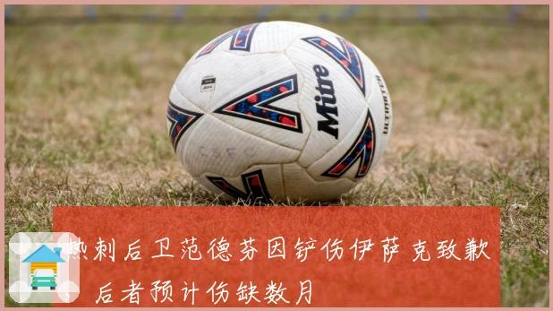 热刺后卫范德芬因铲伤伊萨克致歉，后者预计伤缺数月