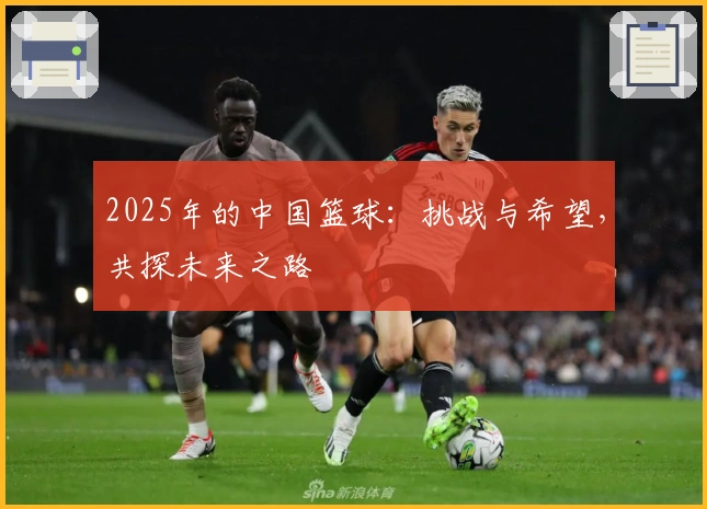 2025年的中国篮球：挑战与希望，共探未来之路